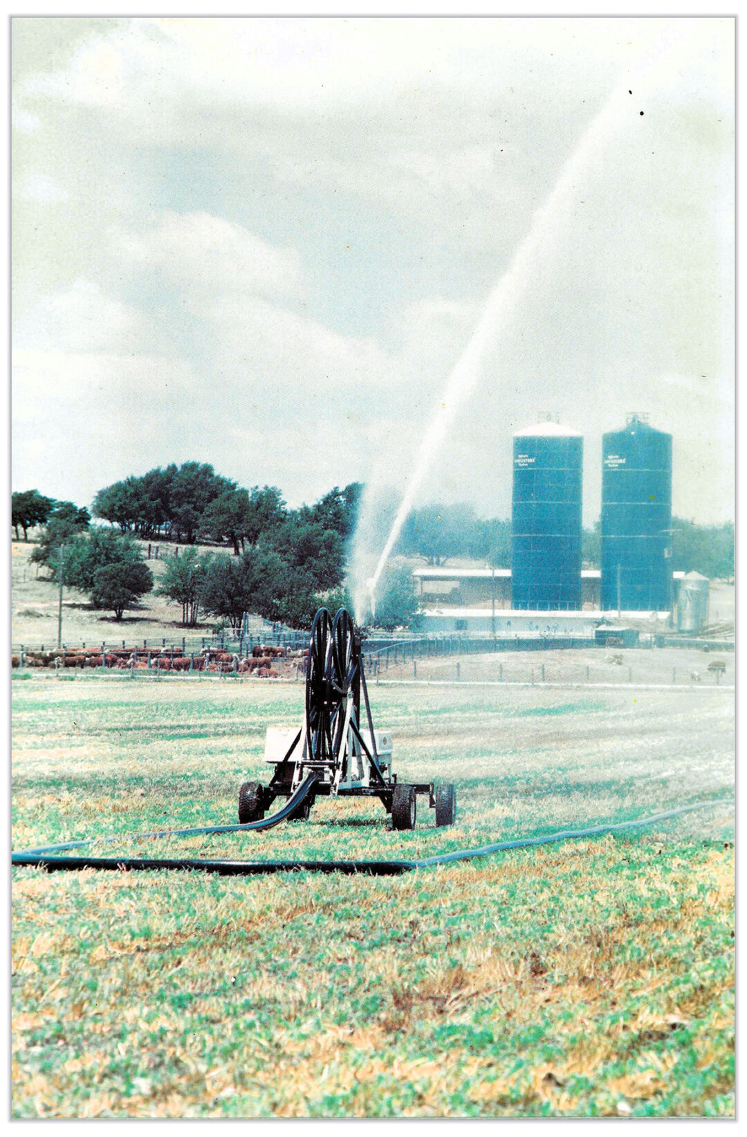 Agriculture Irrigation - Water Cannon Fed By Layflat Hose 2