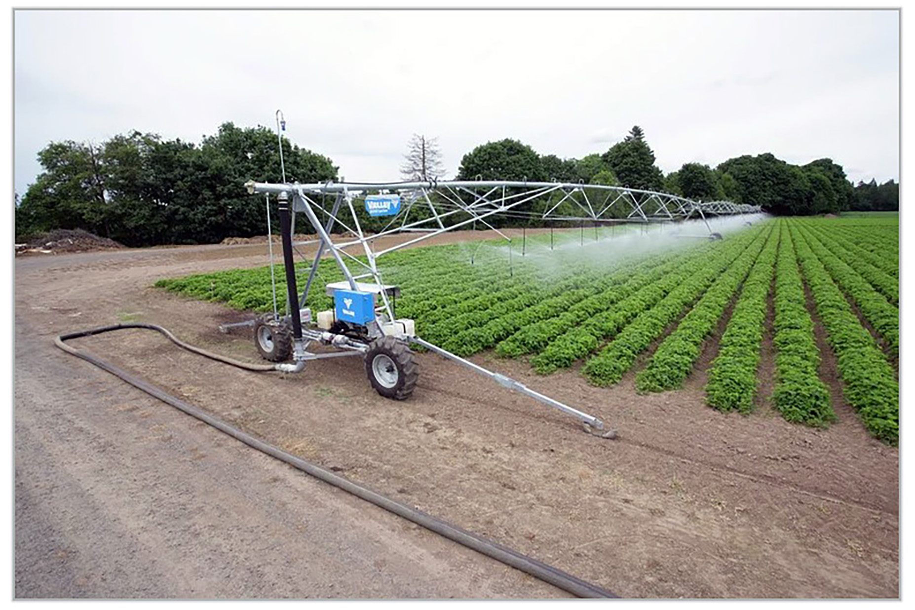 Agriculture Irrigation - Hose Linear Feeds for Layflat Hose